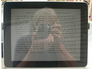 The iPad Outside The iPad Outside